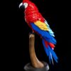 Macaw Feather Puzzle - Image 3