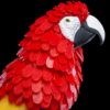 Macaw Feather Puzzle - Image 4
